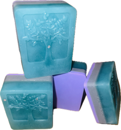 Enchanted Forest Soap